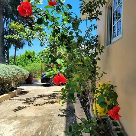 Sunbreeze Ocho Rios - A Spacious, Homely Apartment Exterior photo
